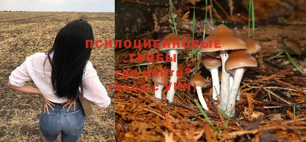 дурь Алексин